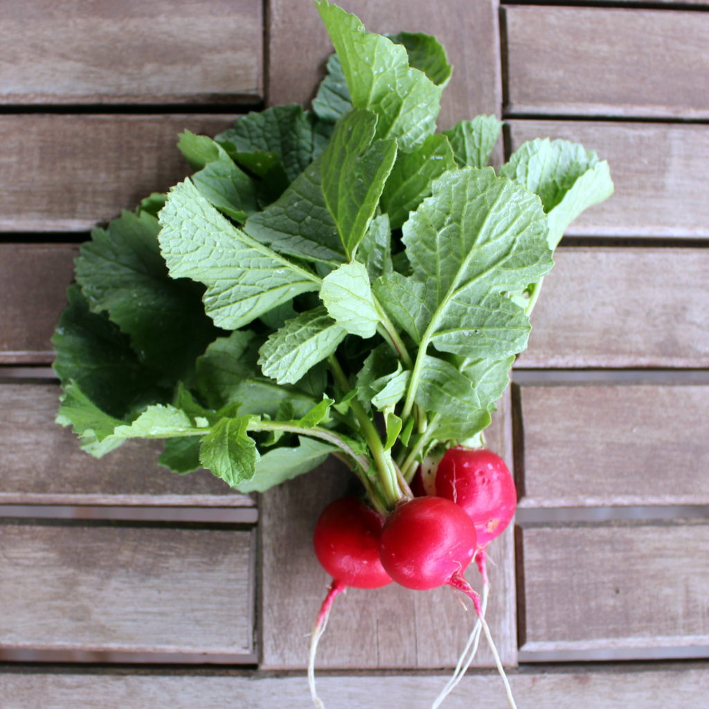 Radish Butter You'll never look at a radish the same way againCounting